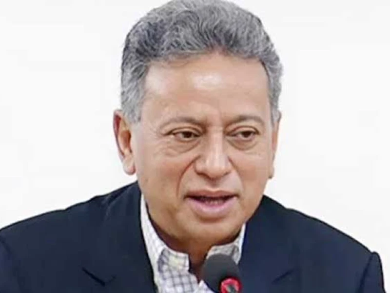 Functional parliamentary committees key to political accountability, says Amir Khosru